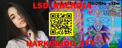 индика Можга