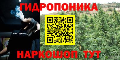 дмт Можайск