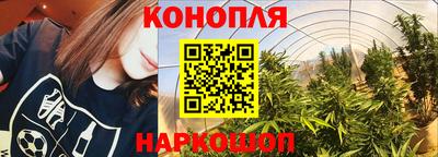 прущие крисы Моздок