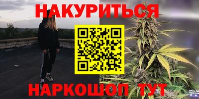 прущие крисы Моздок