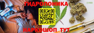 прущие крисы Моздок