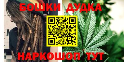 индика Можга