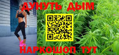 индика Можга