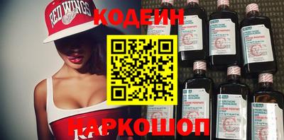 индика Можга