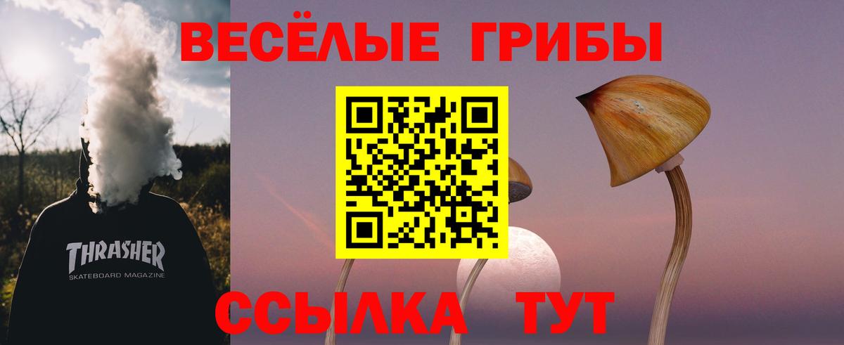 Верхняя Пышма  купить   Вход с VPN  Псилоцибиновые грибы Psilocybe  Псилоцибиновые грибы ЛСД 